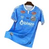 Jalkapallo Fanipaita Santos FC Dragon 2025-26 Sininen Jalkapallo Fanipaita Santos FC Dragon 2025-26 Sininen