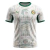 Jalkapallo Fanipaita Senegal Kotipelipaita Mm-Kisat 2026 Jalkapallo Fanipaita Senegal Kotipelipaita Mm-Kisat 2026