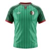 Jalkapallo Fanipaita Algeria Vieraspelipaita Mm-Kisat 2026 Jalkapallo Fanipaita Algeria Vieraspelipaita Mm-Kisat 2026