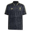 Jalkapallo Fanipaita Liverpool Lifestyle Special Edition 2025-26