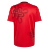 Jalkapallo Fanipaita Manchester United Cultural Story Special Edition 2025-26